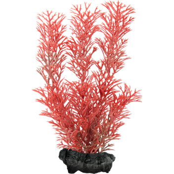 Растение аквар. искусствен. красное Перистолистник красный (Red Foxtail)15см
