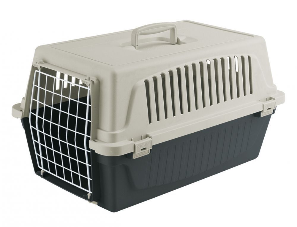 Требования к контейнерам для перевозки домашних животных в самолете по России и за границу