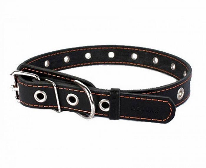 Ошейник кожаный безразмерный черный CoLLaR