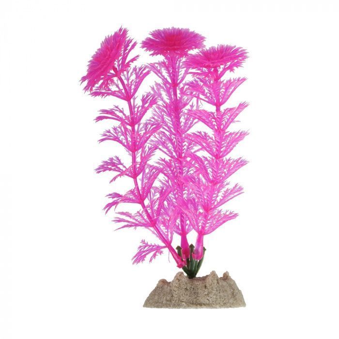 Растение флуоресцирующее розовое GloFish