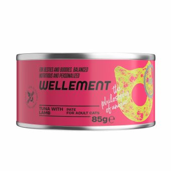 Влажный корм для кошек WELLEMENT Тунец с ягнёнком паштет конс. (ВЕЛЛЕМЕНТ)