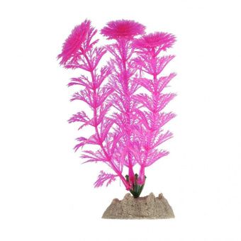 Растение флуоресцирующее розовое GloFish