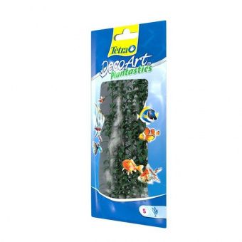Растение Гигрофилла(Hygrophila) аквар. зеленое  