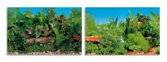 BLU 9049 Фон двухсторонний  100x50