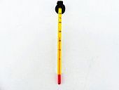 Термометр тонкий 15ZL, 150*6мм  Laguna