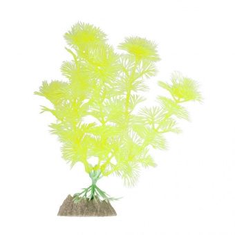Растение флуоресцирующее желтое GloFish