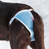 Трусы для собак многоразовые OSSO ABSORB Fashion