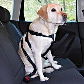 Автомобильный ремень д/собак безопасности со шлейкой 
